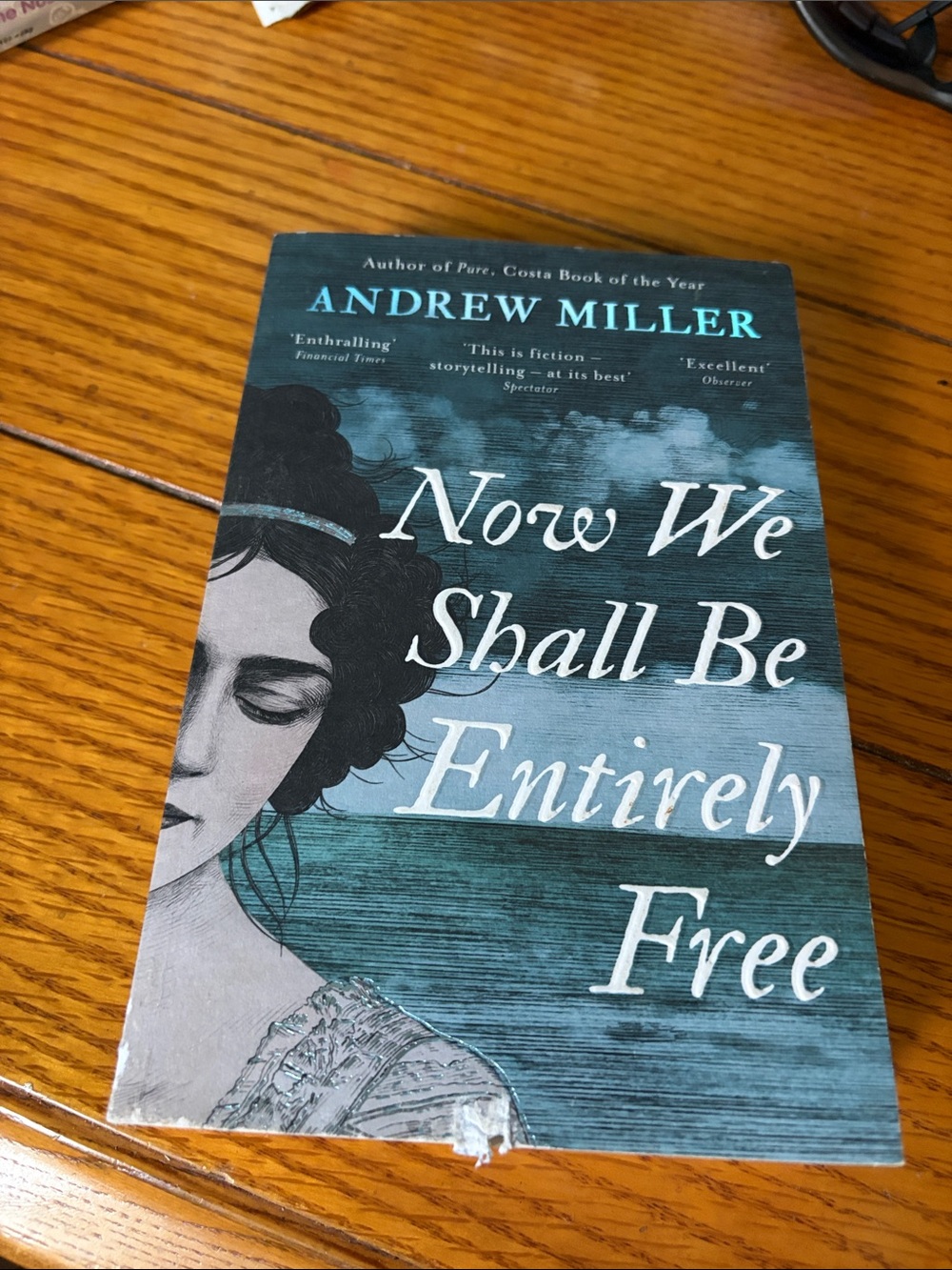 Now We Shall Be Entirely Free by - Teal Paperback